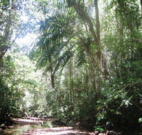 Mount Lewis National Park - Holiday Adelaide