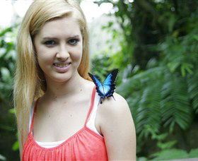 Australian Butterfly Sanctuary - Holiday Adelaide 0