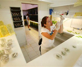 Australian Butterfly Sanctuary - Holiday Adelaide 2