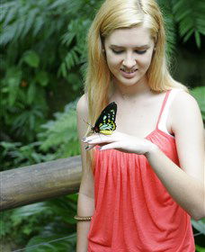 Australian Butterfly Sanctuary - Holiday Adelaide 1
