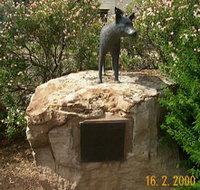 Dingo Statue - Holiday Adelaide