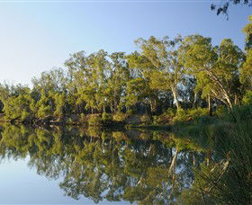 IWaterSki - Holiday Adelaide 0
