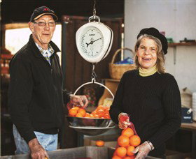 Backroads Trail - Holiday Adelaide 3