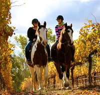 Billabong Ranch - Holiday Adelaide