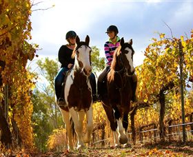 Billabong Ranch - Holiday Adelaide 0
