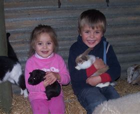 Billabong Ranch - Holiday Adelaide 3