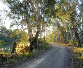 Alton Gallery - Echuca Moama Artists - Holiday Adelaide 0