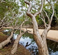 Oyala Thumotang National Park CYPAL - Holiday Adelaide