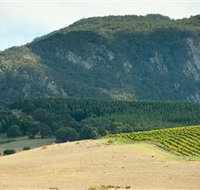 Langi Ghiran State Park - Holiday Adelaide