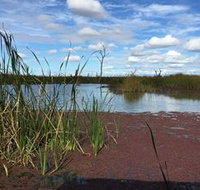 Gwydir Wetlands - Holiday Adelaide