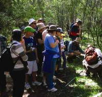 Warrumbungle National Park Discovery Program - Holiday Adelaide
