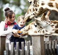 Taronga Western Plains Zoo Dubbo - Holiday Adelaide