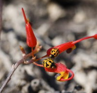Fitzgerald Biosphere - Holiday Adelaide