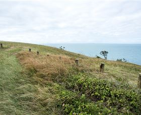 Cape Palmerston National Park - Holiday Adelaide 3