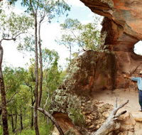 Pilliga National Park - Holiday Adelaide