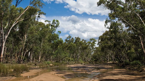 Pilliga National Park - Holiday Adelaide 2