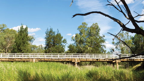 Pilliga National Park - Holiday Adelaide 3
