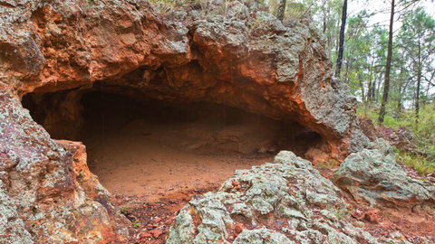 Pilliga National Park - Holiday Adelaide 1