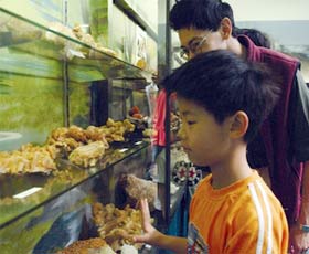 Crystal Kingdom - Holiday Adelaide 2