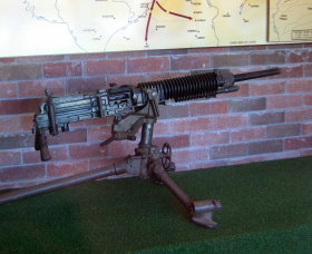 Woodpecker Gun - Holiday Adelaide 0