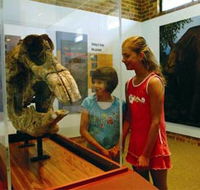 Australian Museum Diprotodon Exhibition - Holiday Adelaide