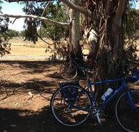 Murchison Rail Trail - Holiday Adelaide