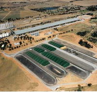 Co-operative Bulk Handling CBH Wheat Storage and Transfer Depot - Holiday Adelaide