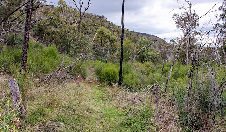 Piney Range NSW Holiday Adelaide