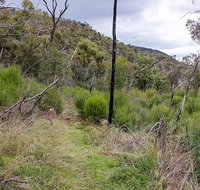Lynchs loop trail - Holiday Adelaide
