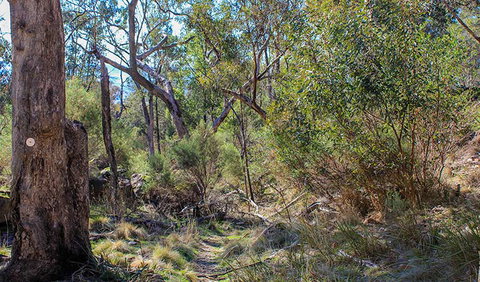 Eualdrie Walking Track - Holiday Adelaide 1