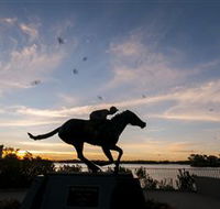 Black Caviar Statue - Holiday Adelaide
