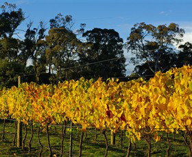 Paramoor Winery - Holiday Adelaide 3