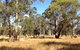 Paramoor Winery - thumb 4