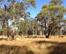 Paramoor Winery - Holiday Adelaide 4