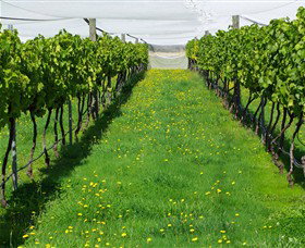 Paramoor Winery - Holiday Adelaide 6