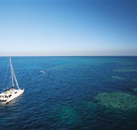 Bait Reef and Garys Lagoon Dive Site - Holiday Adelaide