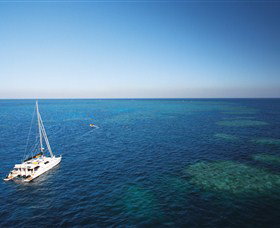 Bait Reef And Garys Lagoon Dive Site - Holiday Adelaide 0