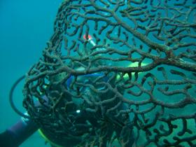 Fairey Reef - Holiday Adelaide 3