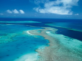 Fairey Reef - Holiday Adelaide 2