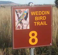 Weddin Bird Trails - Holiday Adelaide