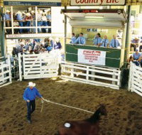 Gracemere Exhibition Complex - Holiday Adelaide