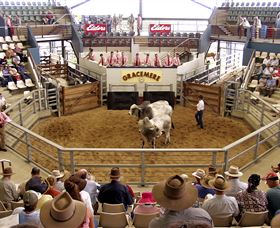 Gracemere Exhibition Complex - Holiday Adelaide 1