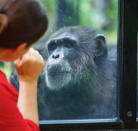 The Rockhampton Zoo - Holiday Adelaide