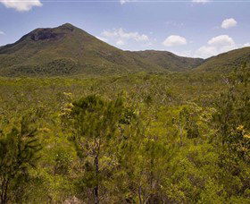 Kutini-Payamu (Iron Range) National Park (CYPAL) - Holiday Adelaide 0