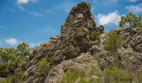 Verandah Cave - Holiday Adelaide 2