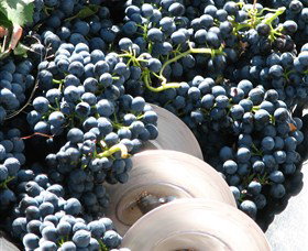 Orange Mountain Wines - Holiday Adelaide 2