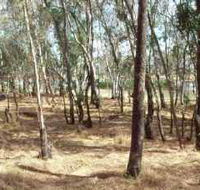Chiltern-Mt Pilot National Park - Holiday Adelaide