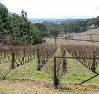 Habitat Vineyard - Holiday Adelaide