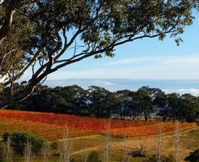 Bloodwood Estate - Holiday Adelaide 0