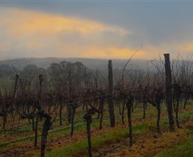 Bloodwood Estate - Holiday Adelaide 1